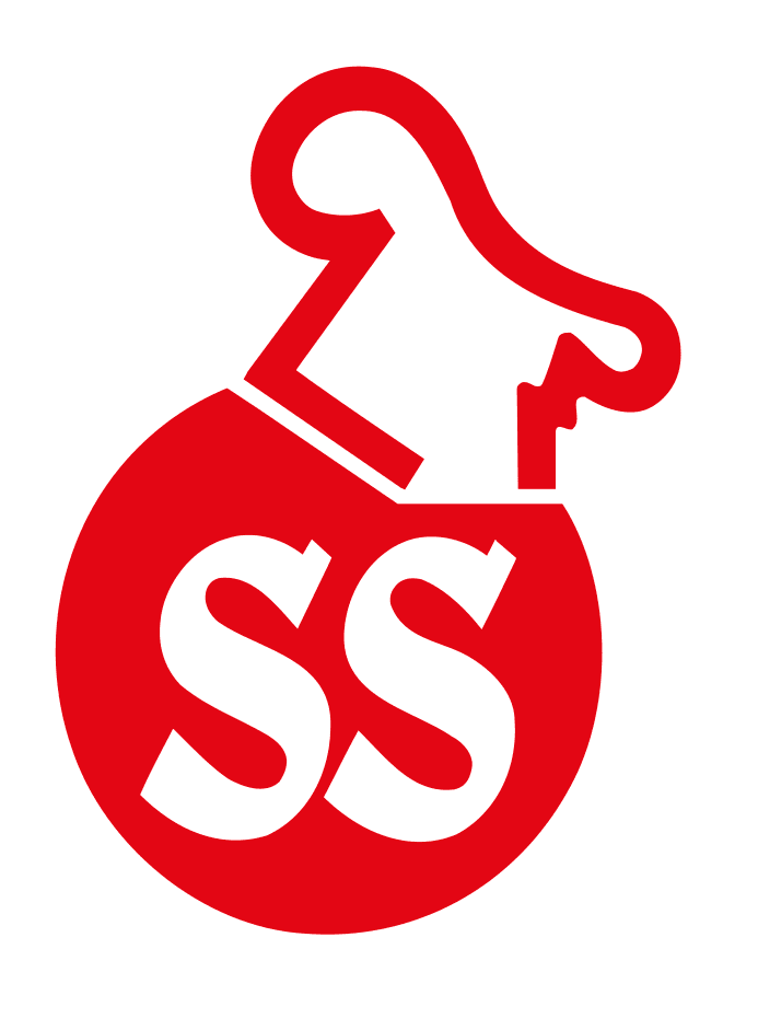 /images/companies/ss.png